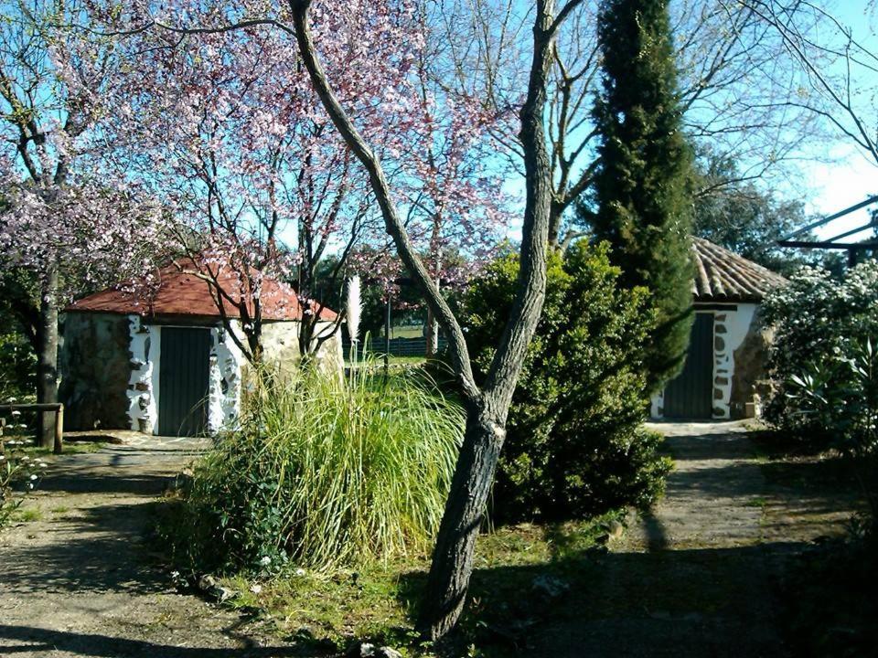Las Cabañas de Buffalos Cumbres Mayores Exterior foto